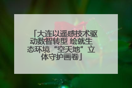大连以遥感技术驱动数智转型 绘就生态环境“空天地”立体守护画卷