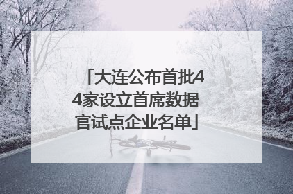 大连公布首批44家设立首席数据官试点企业名单