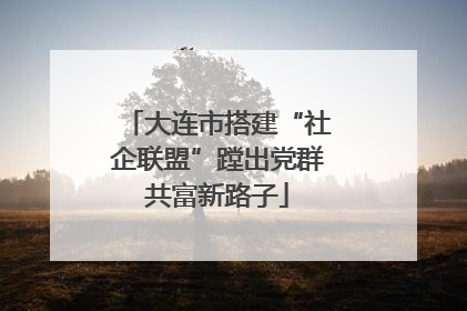 大连市搭建“社企联盟”蹚出党群共富新路子