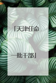 天津任命一批干部