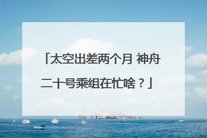 太空出差两个月 神舟二十号乘组在忙啥？