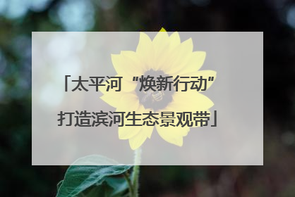 太平河“焕新行动” 打造滨河生态景观带