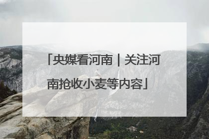 央媒看河南｜关注河南抢收小麦等内容