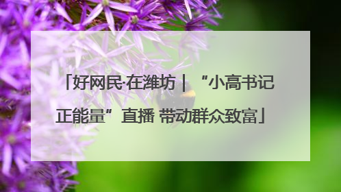 好网民·在潍坊｜“小高书记正能量”直播 带动群众致富
