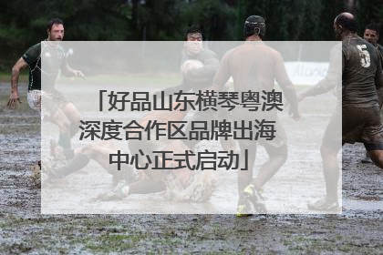 好品山东横琴粤澳深度合作区品牌出海中心正式启动