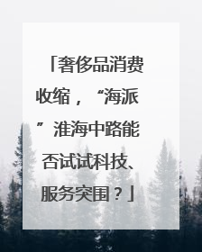 奢侈品消费收缩，“海派”淮海中路能否试试科技、服务突围？