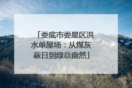 娄底市娄星区洪水单屋场：从煤灰蔽日到绿意盎然