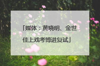 媒体：黄晓明、金世佳上戏考博进复试