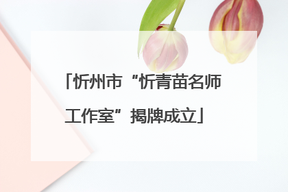忻州市“忻青苗名师工作室”揭牌成立