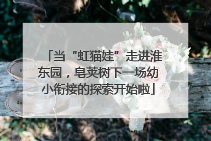 当“虹猫娃”走进淮东园，皂荚树下一场幼小衔接的探索开始啦