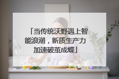 当传统沃野遇上智能浪潮，新质生产力加速破茧成蝶