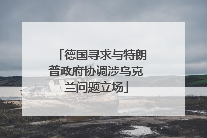 德国寻求与特朗普政府协调涉乌克兰问题立场