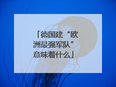 德国建“欧洲最强军队”意味着什么