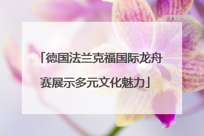 德国法兰克福国际龙舟赛展示多元文化魅力