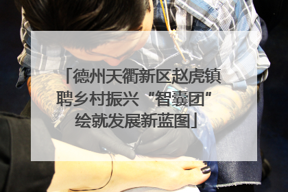 德州天衢新区赵虎镇聘乡村振兴“智囊团” 绘就发展新蓝图