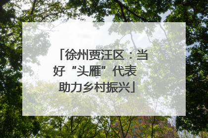徐州贾汪区：当好“头雁”代表 助力乡村振兴