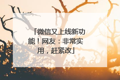 微信又上线新功能！网友：非常实用，赶紧改