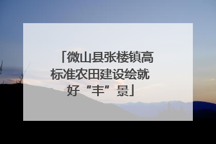 微山县张楼镇高标准农田建设绘就好“丰”景