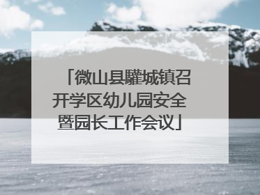 微山县驩城镇召开学区幼儿园安全暨园长工作会议