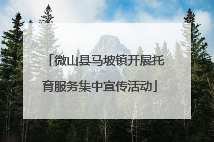 微山县马坡镇开展托育服务集中宣传活动