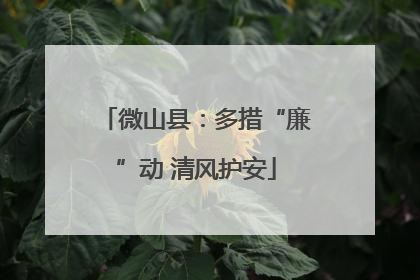 微山县：多措“廉”动 清风护安