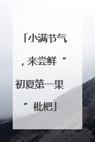 小满节气，来尝鲜“初夏第一果”枇杷