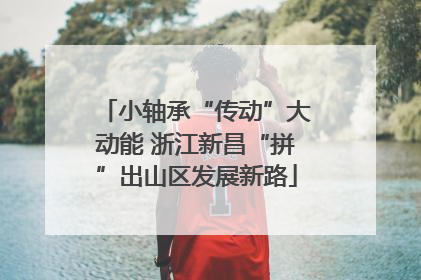 小轴承“传动”大动能 浙江新昌“拼”出山区发展新路
