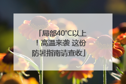 局部40℃以上！高温来袭 这份防暑指南请查收