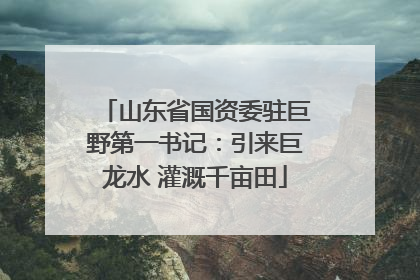 山东省国资委驻巨野第一书记：引来巨龙水 灌溉千亩田