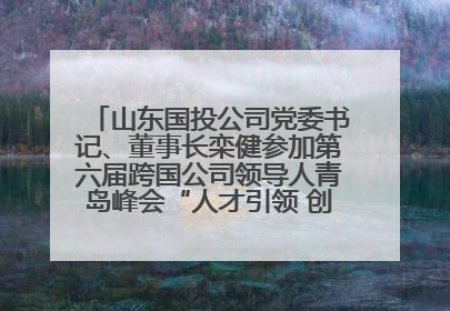 山东国投公司党委书记、董事长栾健参加第六届跨国公司领导人青岛峰会“人才引领 创新驱动”人力资源高质量发展对话会