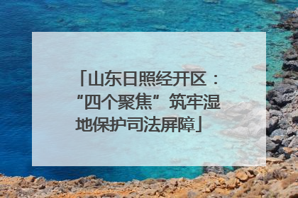 山东日照经开区：“四个聚焦”筑牢湿地保护司法屏障