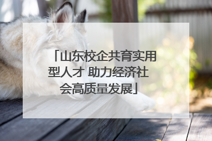 山东校企共育实用型人才 助力经济社会高质量发展
