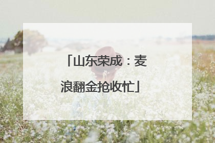山东荣成：麦浪翻金抢收忙
