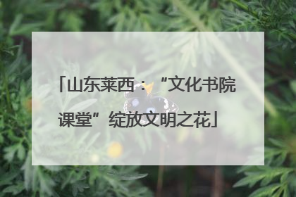 山东莱西：“文化书院课堂”绽放文明之花