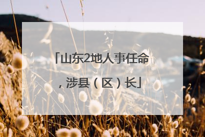 山东2地人事任命，涉县（区）长
