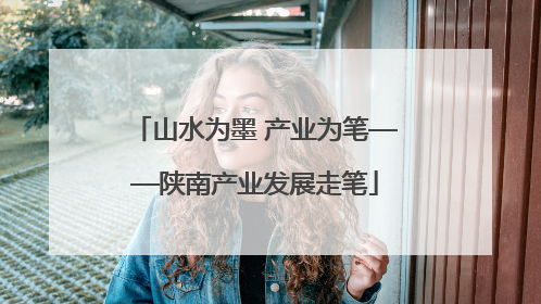 山水为墨 产业为笔——陕南产业发展走笔