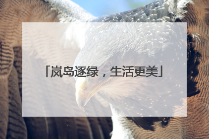 岚岛逐绿，生活更美