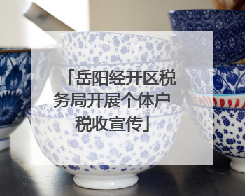 岳阳经开区税务局开展个体户税收宣传
