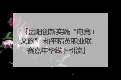 岳阳创新实践“电竞+文旅” 和平精英职业联赛嘉年华线下引流
