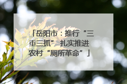 岳阳市：推行“三重三抓” 扎实推进农村“厕所革命”