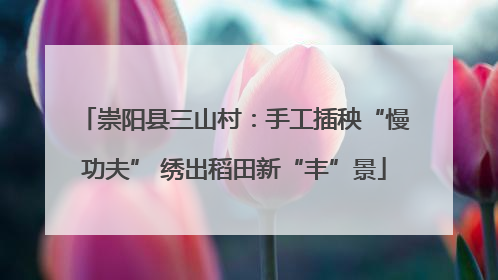 崇阳县三山村：手工插秧“慢功夫” 绣出稻田新“丰”景