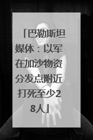 巴勒斯坦媒体：以军在加沙物资分发点附近打死至少28人