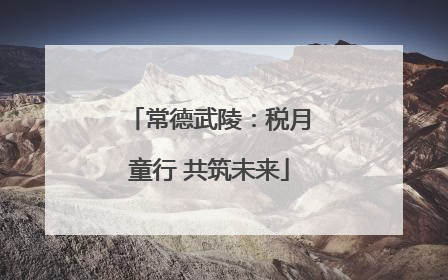 常德武陵：税月童行 共筑未来