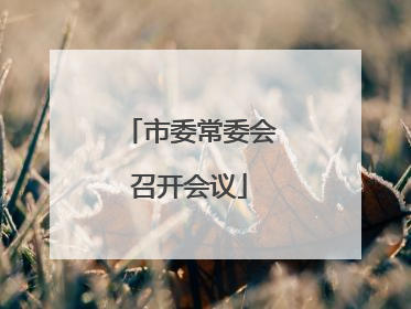 市委常委会召开会议