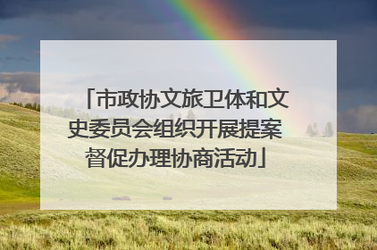 市政协文旅卫体和文史委员会组织开展提案督促办理协商活动