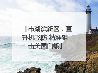 市湖滨新区：直升机飞防 精准狙击美国白蛾