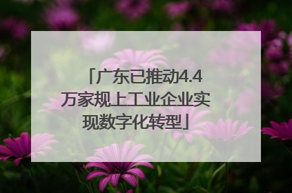 广东已推动4.4万家规上工业企业实现数字化转型