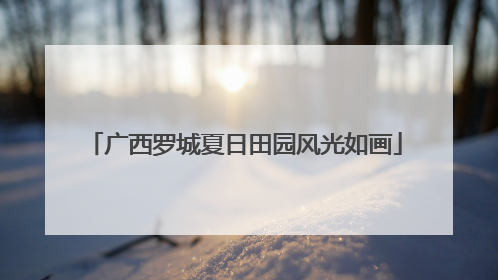 广西罗城夏日田园风光如画