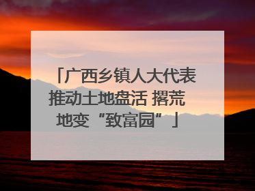 广西乡镇人大代表推动土地盘活 撂荒地变“致富园”