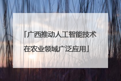 广西推动人工智能技术在农业领域广泛应用